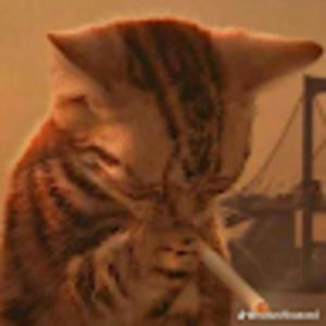 Meet your Posher, Riley